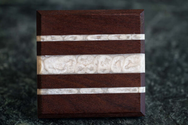 Peruvian Walnut with White Epoxy Coaster
